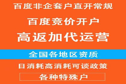 案例解析：专业竞价推广代运营团队实操